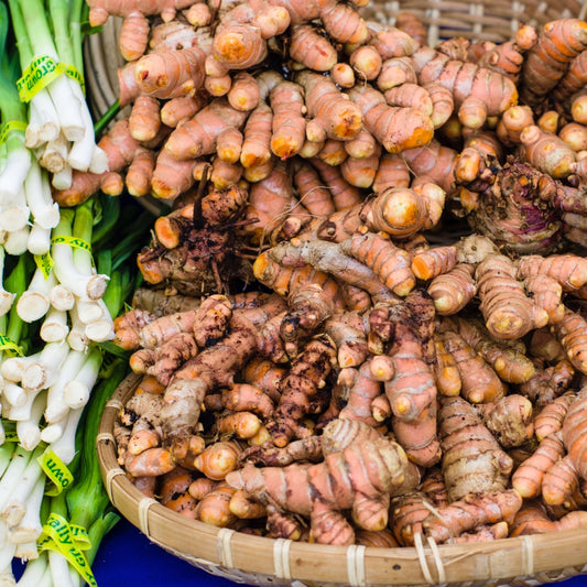 Curcuma Eco