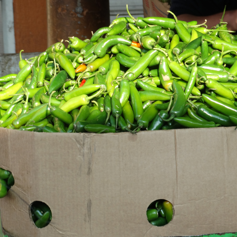 Pimiento Verde Italiano