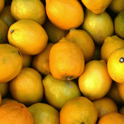 Limones